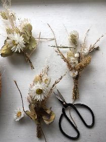 DRIED BUTTONHOLES