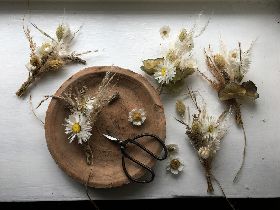 DRIED FLOWERS